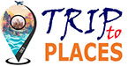 Your Trip Adviser